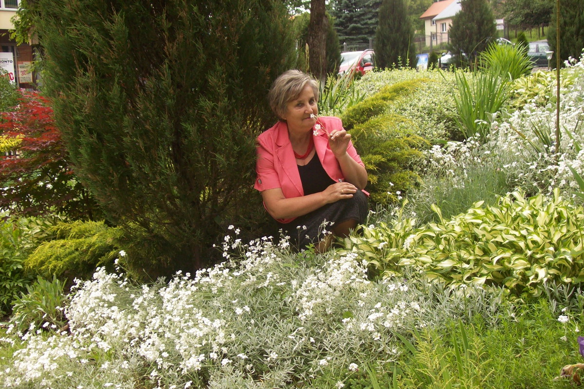 Zapraszam Was na wirtualny spacer po moim ogrodzie.