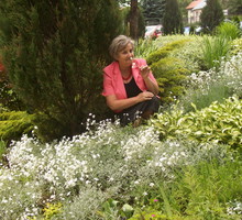 Zapraszam Was na wirtualny spacer po moim ogrodzie.