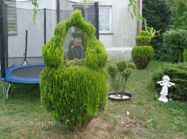 a tu drugi słodziak