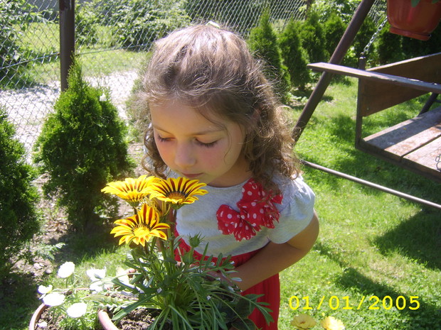Amelka sprawdza czy kwiatki ładnie pachną.