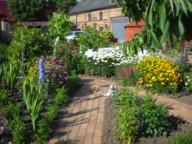 Błękitna ostróżka, w białe złocienie. 