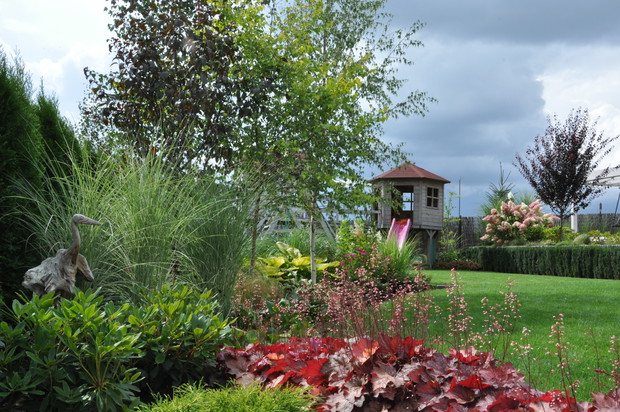 brzozy w trzech odmianach tworzą mini lasek, uwielbiam je wiosną 