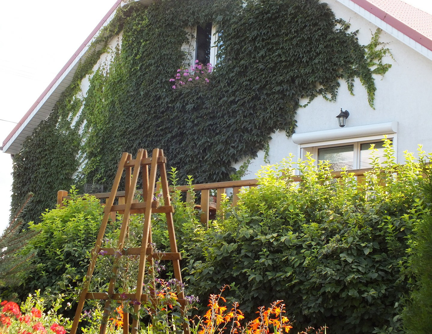 Dom zatopiony w zieleni.