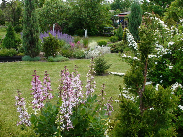 Dyptamy uwielbiam za skromną elegancję.