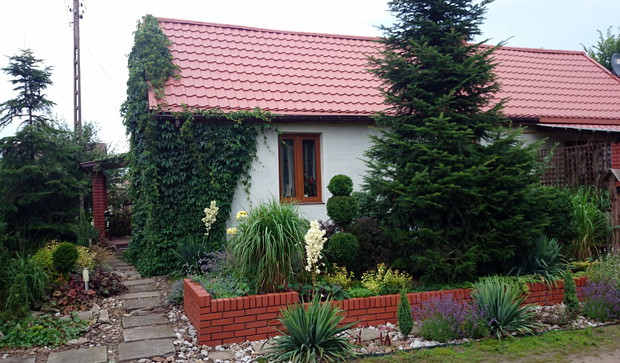 Efektowna grupa roślin