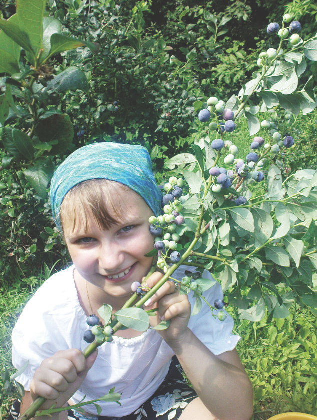Ekologicznymi borówkami zajada się moja córka.