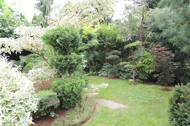 Fragment ogrodu japońskiego.