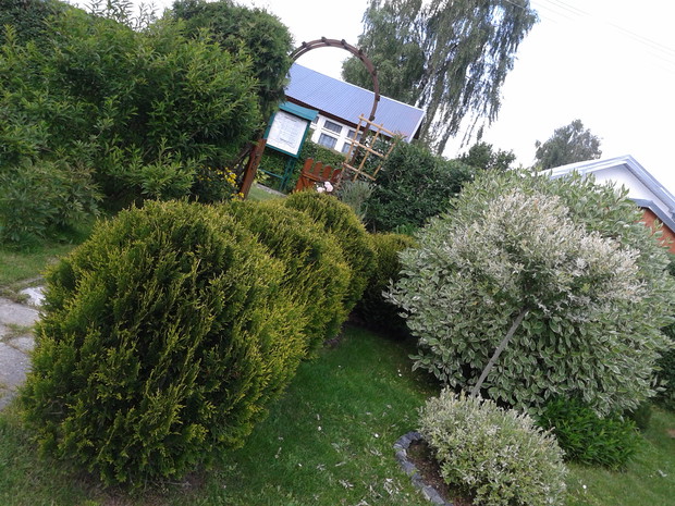 Furtka otwarta, zapraszam na działeczkę :)