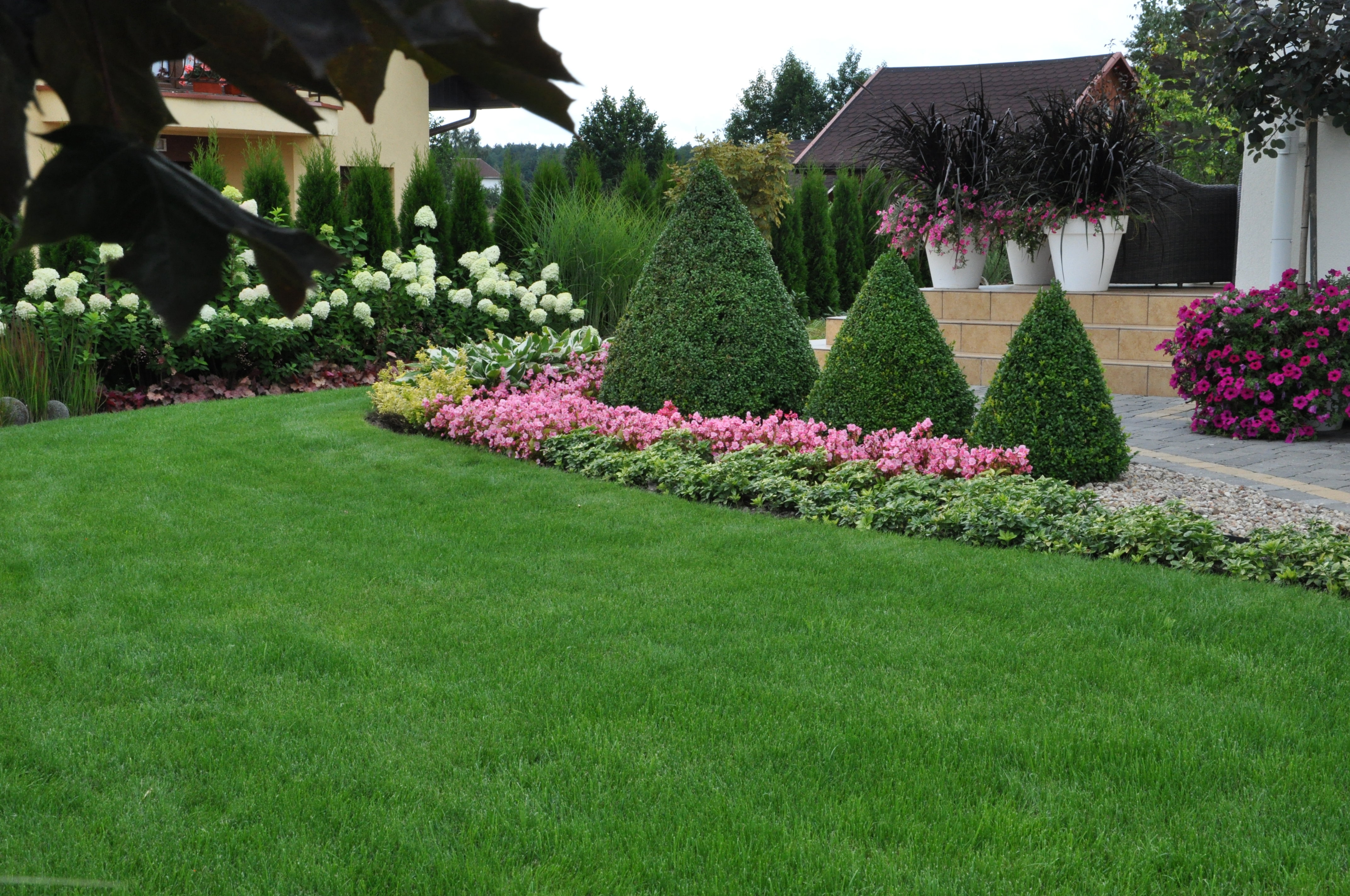 gości witają strzyżone bukszpany, wiosną otaczają je tulipany i rzeka fioletowych krokusów