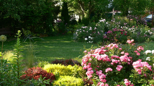 Gra cieni na trawniku