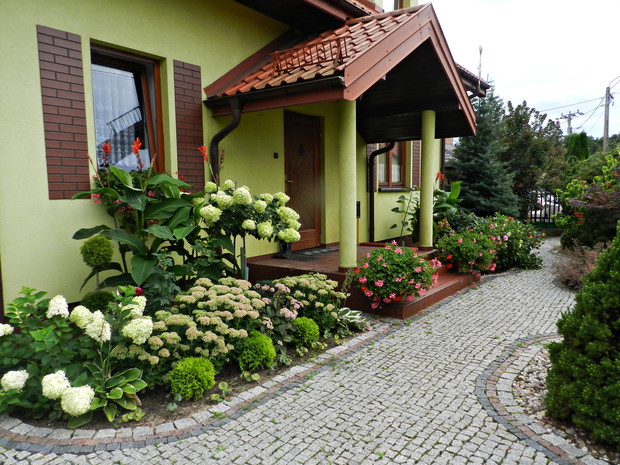 Hortensja bukietowa, która urzeka pięknymi kwiatami.