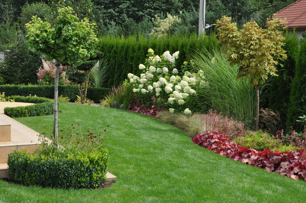 hortensje Limelight przy tarasie tworzą efektowną ścianę wraz z falującymi trawami, wiosną w tym miejscu jest łan fioletowych czosnków ozdobnych, a w niskich trawach dywan szafirków