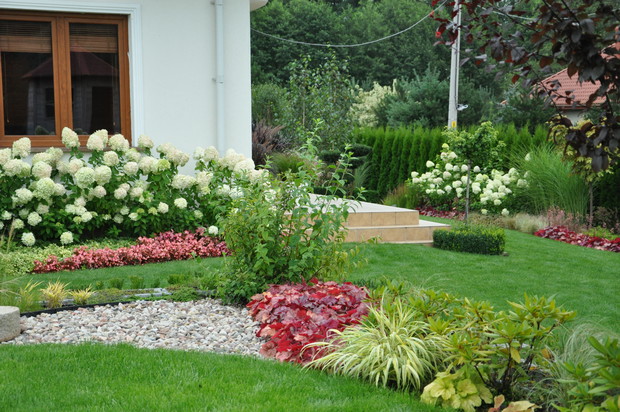hortensje z tyłu domu figlarnie zaglądają przez okno do salonu.