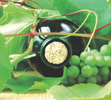 Im bardziej nasłoneczniona jest nasza winnica, tym lepszej jakości uzyskamy winogrona: większe i słodsze.