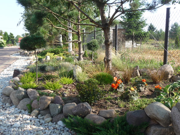 Każdy skrawek ziemi jest wykorzystany w moim ogrodzie 