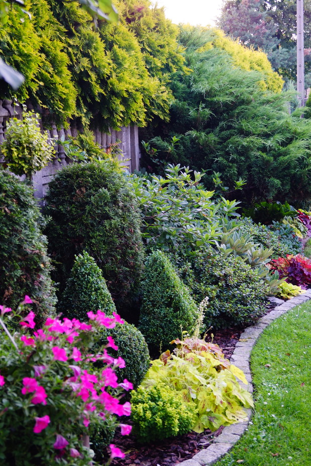 Kolejna część całoroczna z grupą różaneczników i azalii.