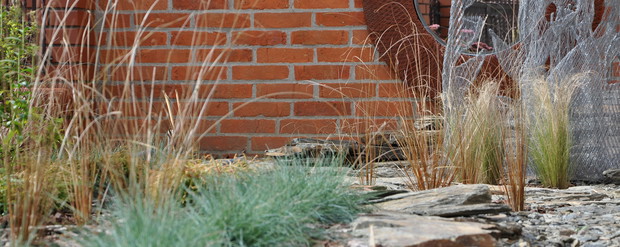 Kompozycja turzyc i kostrzew