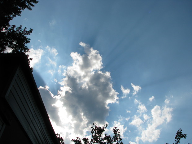 któregoś dnia ,nad altaną :) 