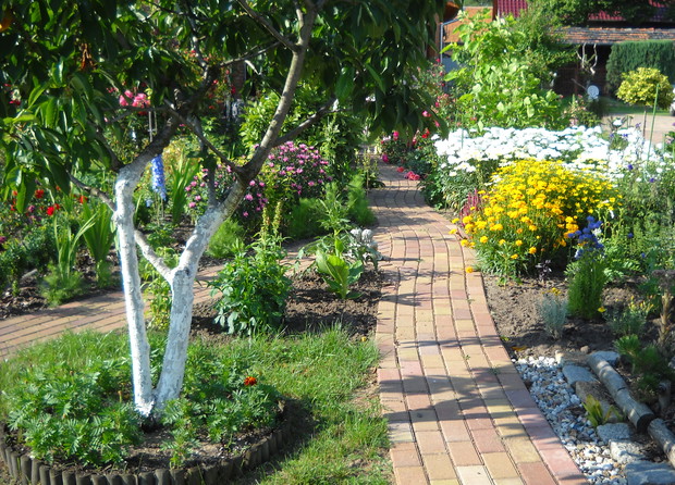 Kwiatowa ścieżka ciąg dalszy.