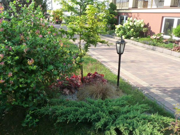 Lampki oświetlają ogród nocą 