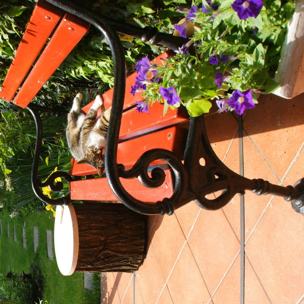 Miłośniczka ogródka