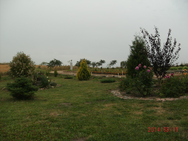 mnóstwo miejsca na ulubioną zabawę dzieci - berka