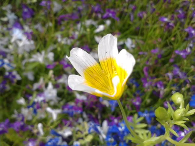 moj faworyt, choc nie wiem co to...