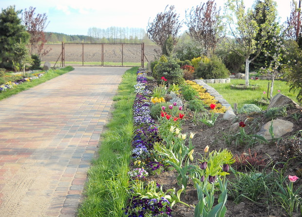 Na początku byłą wiosna.