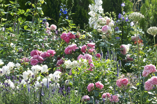 Na rabatach dominują pastelowe barwy, to moje ulubione odcienie