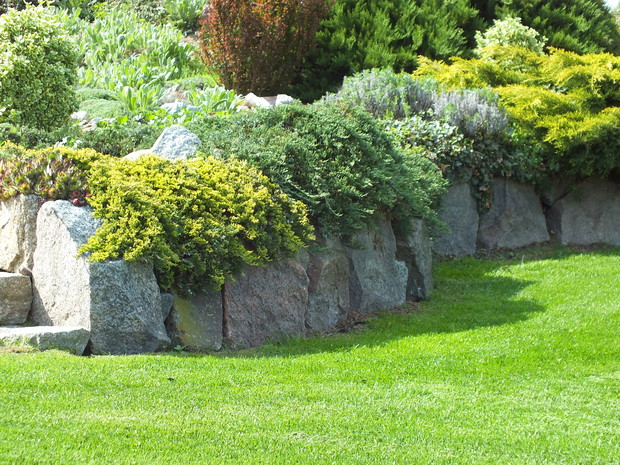 Na słonecznej stronie.