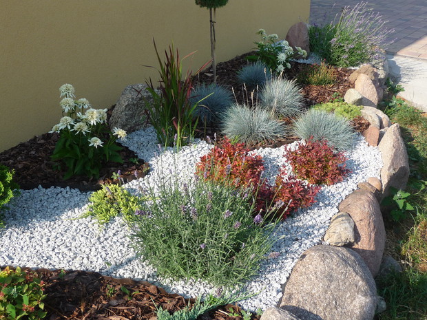 Nowe dziecko ogrodu - rabata obok garażu 