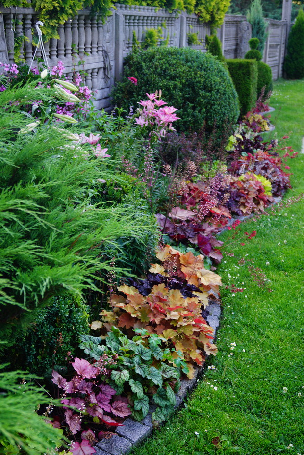 Obwódka z żurawek w roli głównej