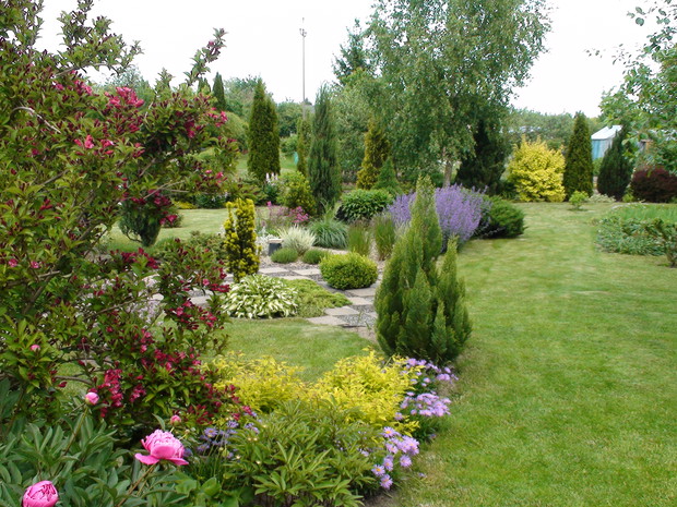 Ogólny widok na część działki.