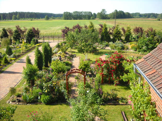 Ogólny widok prawej strony ogrodu.