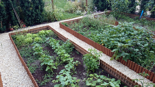 Ogród smaków i zapachów