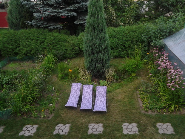 ogród wypoczynkowy – widok z okna 