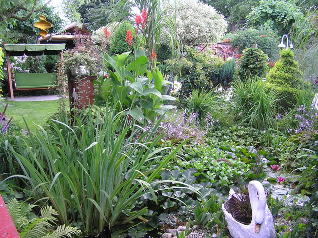 ogrodowe zacisze wokół oczka