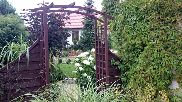 Okno widokowe - magiczna pergola ogrodowa