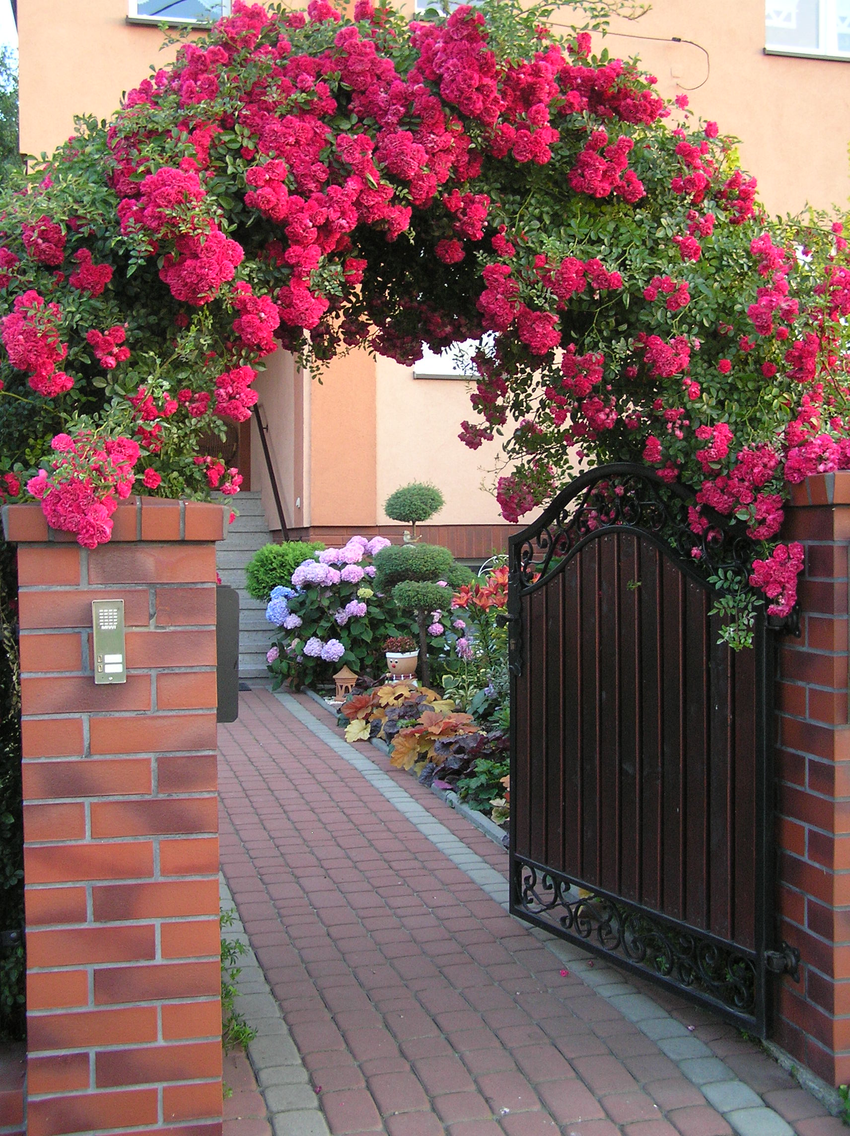 Otwieram furtkę i zapraszam do naszego ogrodu...