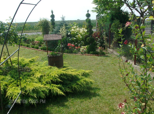 PERGOLA Z WICIOKRZEWEM,W TLE FIGURY Z THUJI