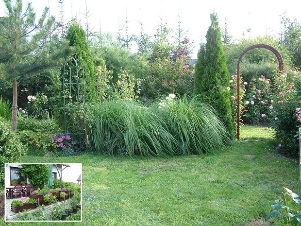 Po przedstawieniu 10 konkursowych zdjęć , dodaję kolejne dwa chociaż mogłabym wstawić co najmniej jeszcze raz tyle aby pokazać całokształt, rozplenice i miejsce gdzie stoi huśtawka w narożniku zdjęcie tarasu przy którym postawiłam akurat w tym czasie pomi