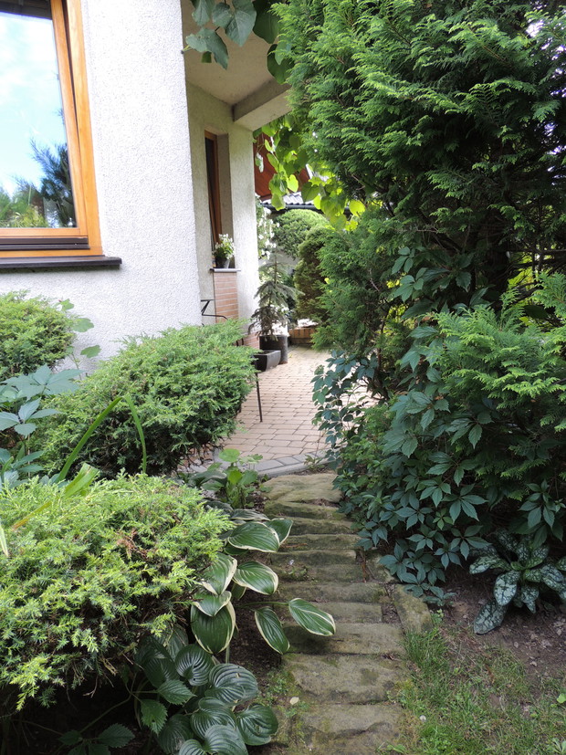 Przejście w tajemniczym ogrodzie.