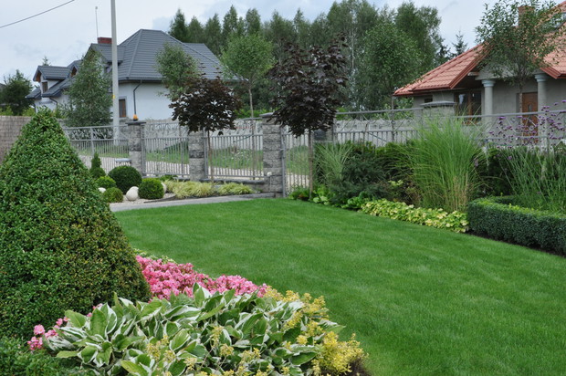 przy furtce dwa nasze pierwsze drzewa :)