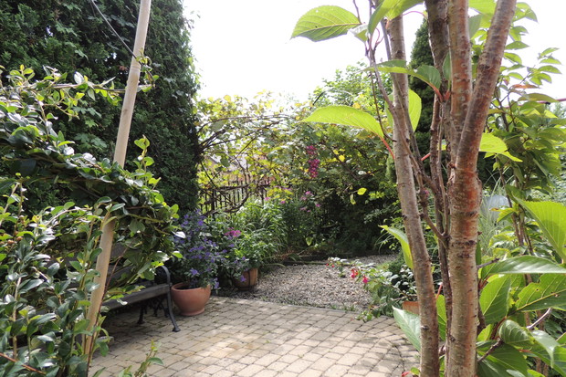 Psianka – moja duma! 