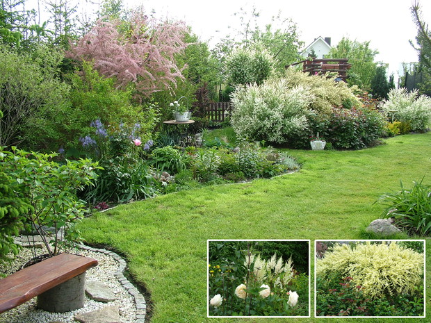 Rabata za studnią jako tło dla bylin forsycja, tamaryszek, perukowce, amorfa, trzmielina oskrzydlona, pęcherznica Diabolo, krzewuszka, berberys w czasie sezonu kwitną tu tulipany, róże, tawuły, lilie, zawilce, rozchodniki, za nią rabata z ogromnym żarnowc