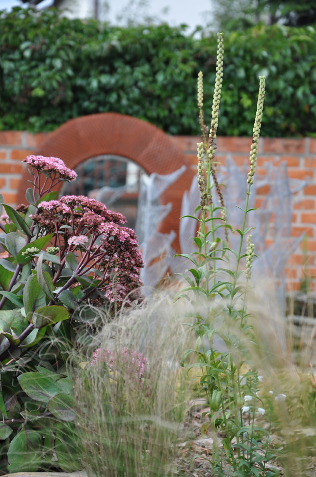 Rozchodniki 'Matrona' w sąsiedztwie ostnic i odętek