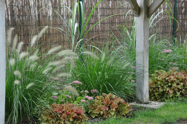 rozplenice  na wąskiej rabacie przy placu zabaw połączyłam z rozchodnikiem, żurawkami. Wiosną jest tu kolorowa łąka z tulipanów i narcyzów. Zaraz po nich zakwitają tutaj peonie