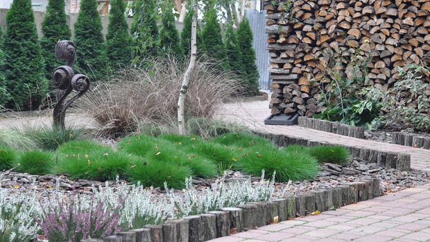 Rzeźby - pastorały paproci wśród kostrzewy miotlastej