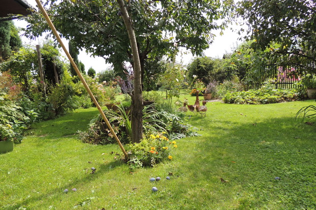 Sad i grządka warzywna.