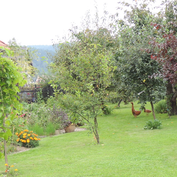 Sad i grządka warzywna.